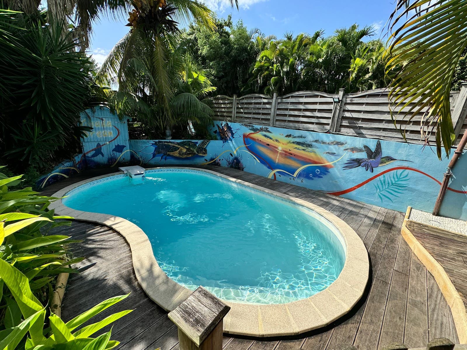 La piscine et sa fresque de poissons colorés