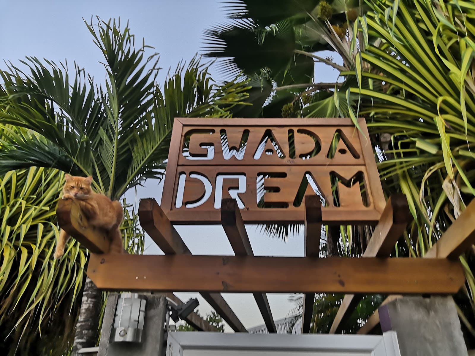 L'enseigne Gwada Dream au milieu des palmiers