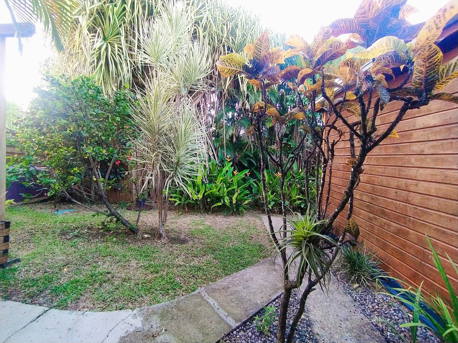 Jardin avec sa fresque d'oiseau coloré