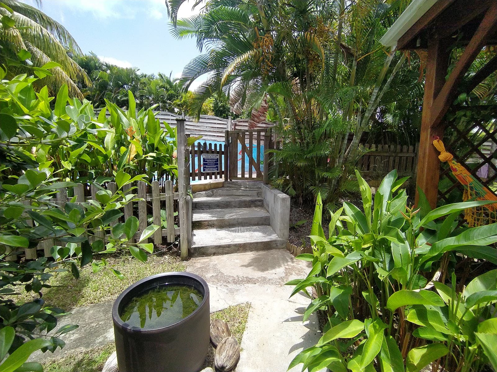 Entrée de la propriété et ses plantes tropicales
